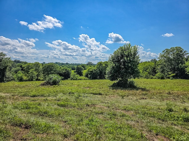 0 Double Branch Rd, Columbia, TN 38401 - photo 3