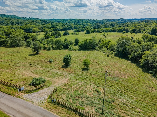 0 Double Branch Rd, Columbia, TN 38401 - photo 7