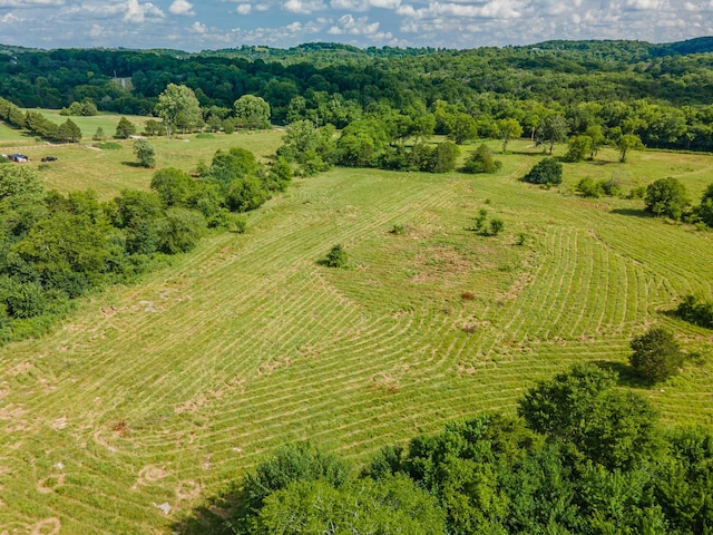 0 Double Branch Rd, Columbia, TN 38401 - photo 1