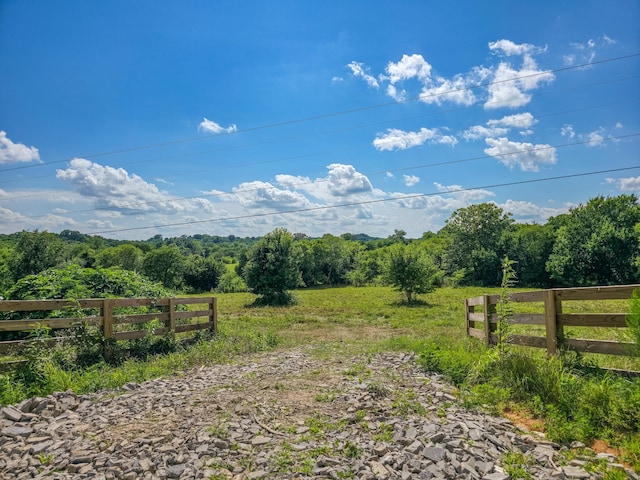 0 Double Branch Rd, Columbia, TN 38401 - photo 2
