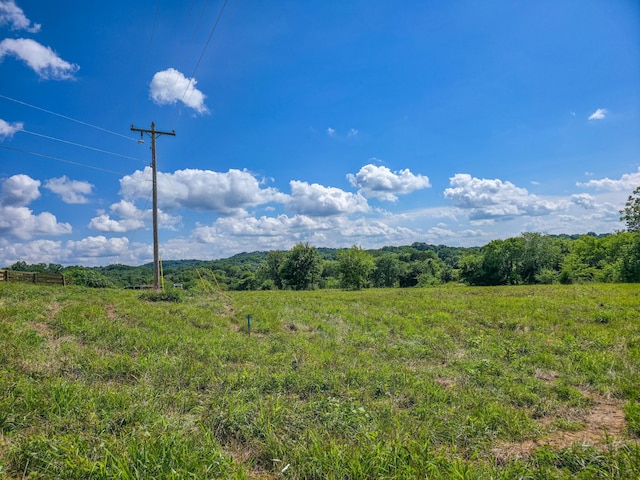0 Double Branch Rd, Columbia, TN 38401 - photo 4