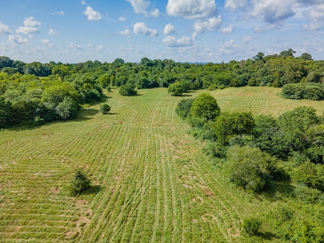 0 Double Branch Rd, Columbia, TN 38401 - photo 21