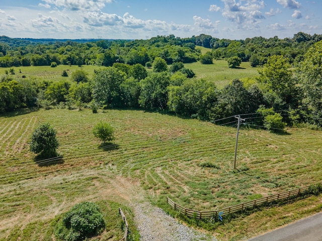 0 Double Branch Rd, Columbia, TN 38401 - photo 6