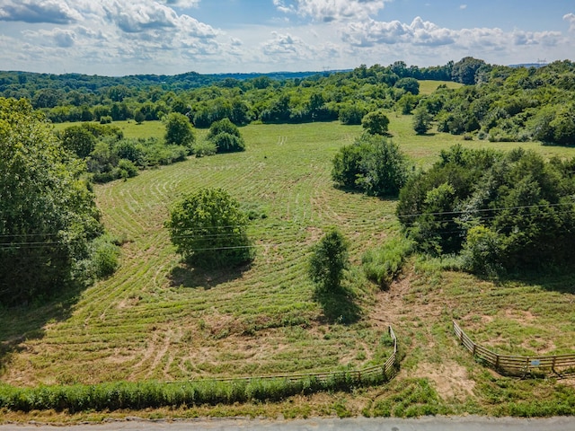 0 Double Branch Rd, Columbia, TN 38401 - photo 16