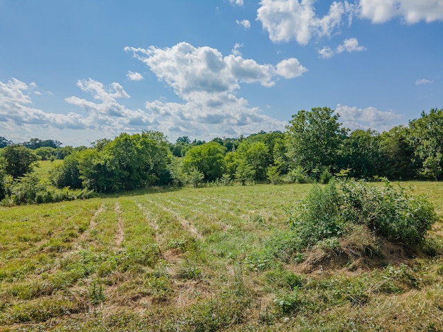 0 Double Branch Rd, Columbia, TN 38401 - photo 18