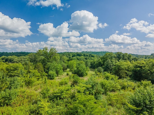 0 Double Branch Rd, Columbia, TN 38401 - photo 19