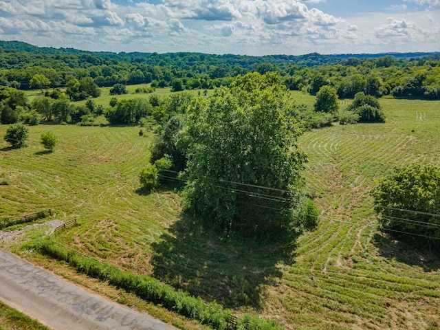 0 Double Branch Rd, Columbia, TN 38401 - photo 15