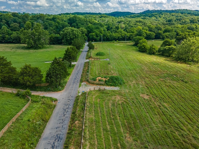 0 Double Branch Rd, Columbia, TN 38401 - photo 9