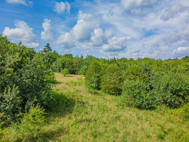 0 Double Branch Rd, Columbia, TN 38401 - photo 10