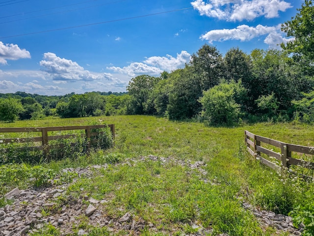 0 Double Branch Rd, Columbia, TN 38401 - photo 13