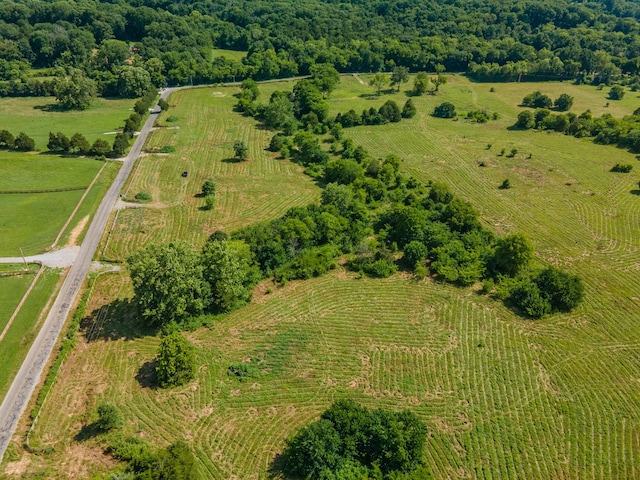 0 Double Branch Rd, Columbia, TN 38401 - photo 17