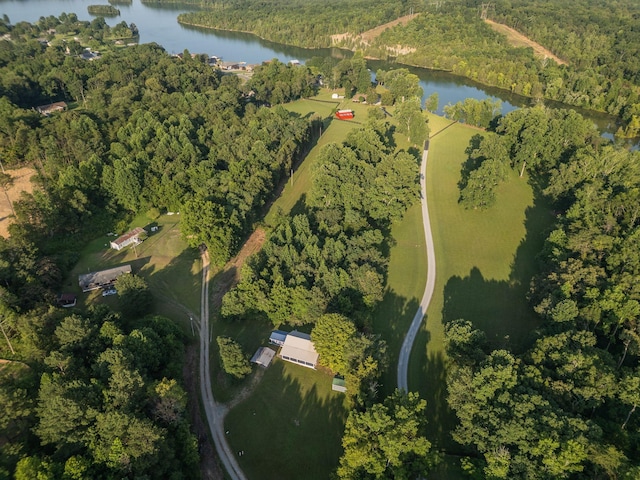 200 Poplar Ln, Spring City, TN 37381 - photo 36