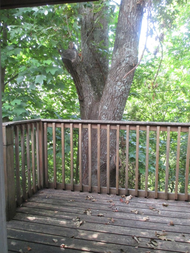 2760 Shipley Church Rd, Cookeville, TN 38501 - photo 10