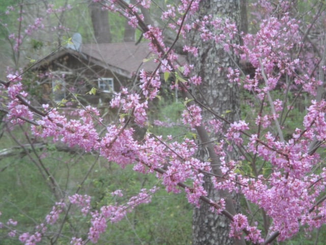 2760 Shipley Church Rd, Cookeville, TN 38501 - photo 12