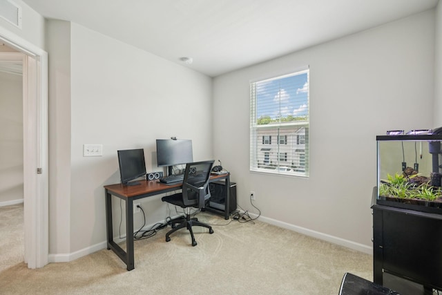 2757 Thornton Grove Blvd Unit 163, Nashville, TN 37207 - photo 23