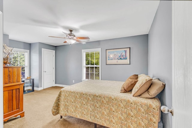 2766 Trasbin Ct, Thompsons Station, TN 37179 - photo 38