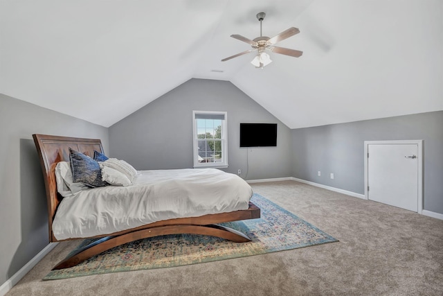 5209 Ticonderoga Ave, Murfreesboro, TN 37129 - photo 24