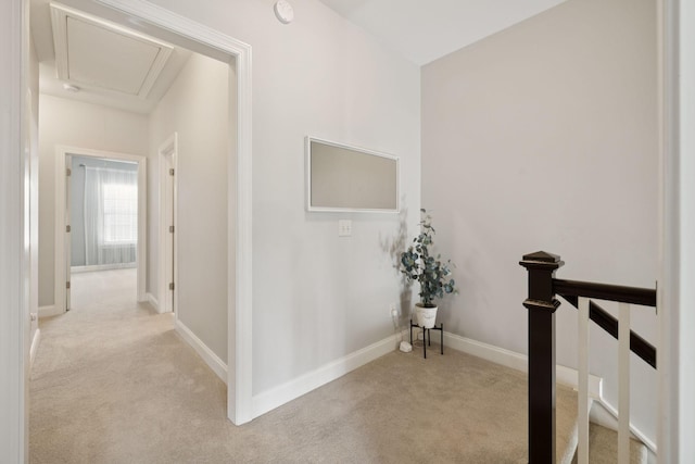 1213 Moher Blvd, Franklin, TN 37069 - photo 15
