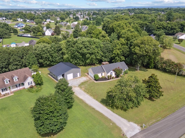 221 Lehman Trl, Murfreesboro, TN 37128 - photo 34