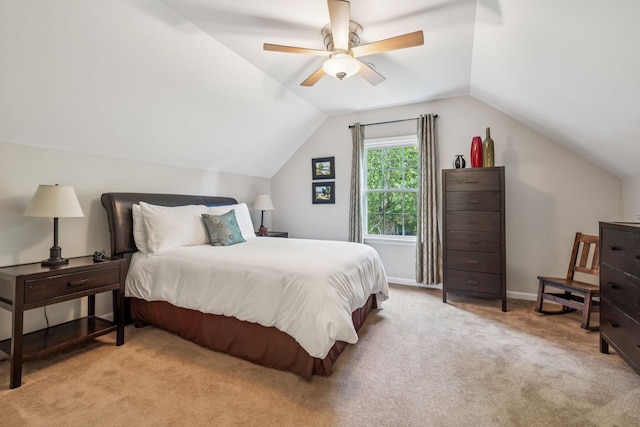1802 Wiltshire Dr, Murfreesboro, TN 37129 - photo 55