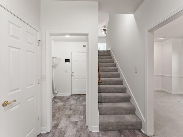 119 Stoners Glen Dr, Hermitage, TN 37076 - photo 24