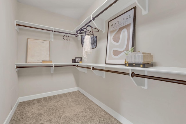 5024 Blackjack Dr, Franklin, TN 37067 - photo 24