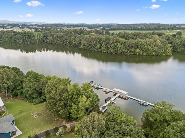 319 Campfire Ct, Winchester, TN 37398 - photo 3