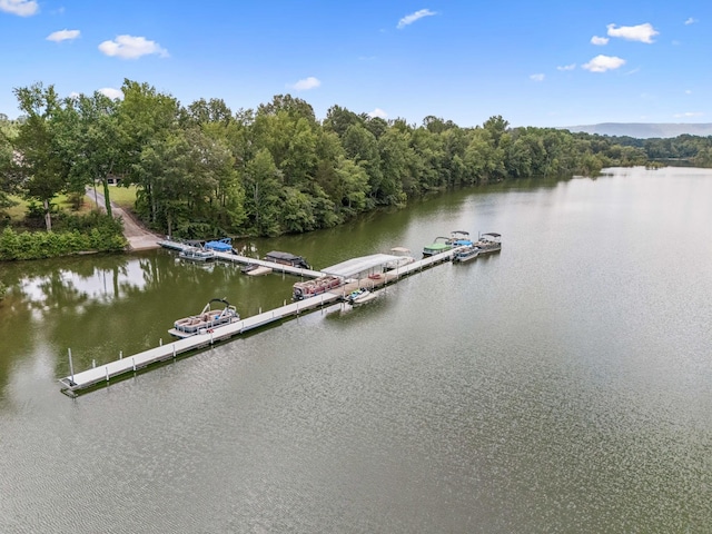 319 Campfire Ct, Winchester, TN 37398 - photo 95