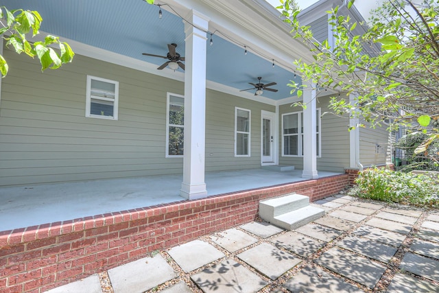 503 Ardmore Pl, Franklin, TN 37064 - photo 55