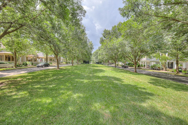 503 Ardmore Pl, Franklin, TN 37064 - photo 74