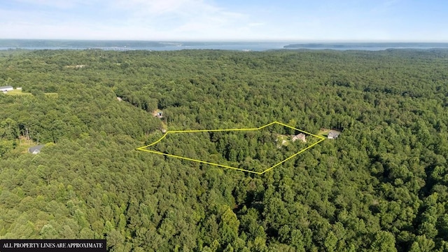 173 Fern Ct, Buchanan, TN 38222 - photo 61