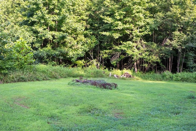 173 Fern Ct, Buchanan, TN 38222 - photo 50