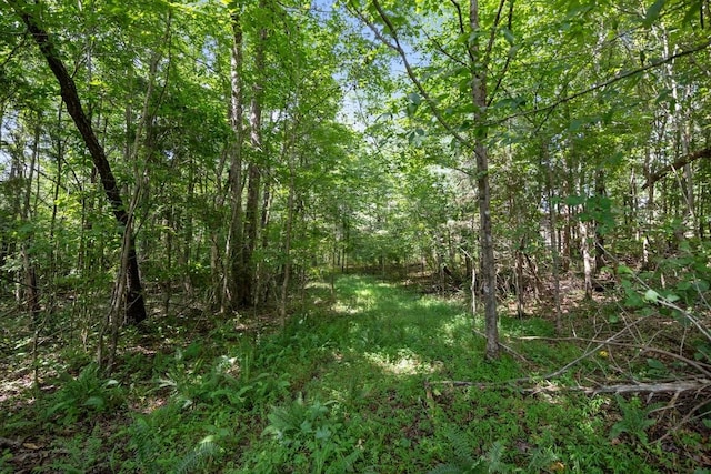 173 Fern Ct, Buchanan, TN 38222 - photo 52