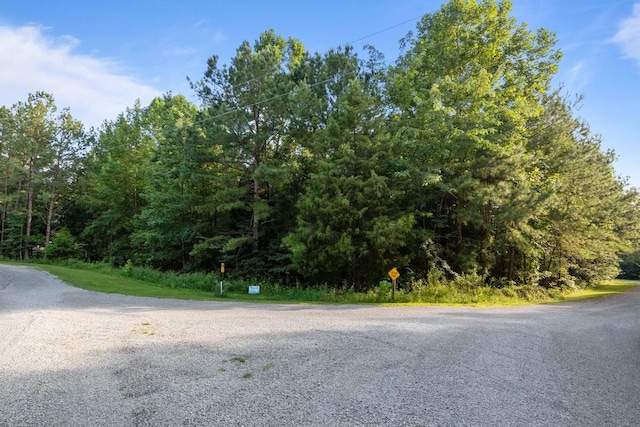 173 Fern Ct, Buchanan, TN 38222 - photo 55