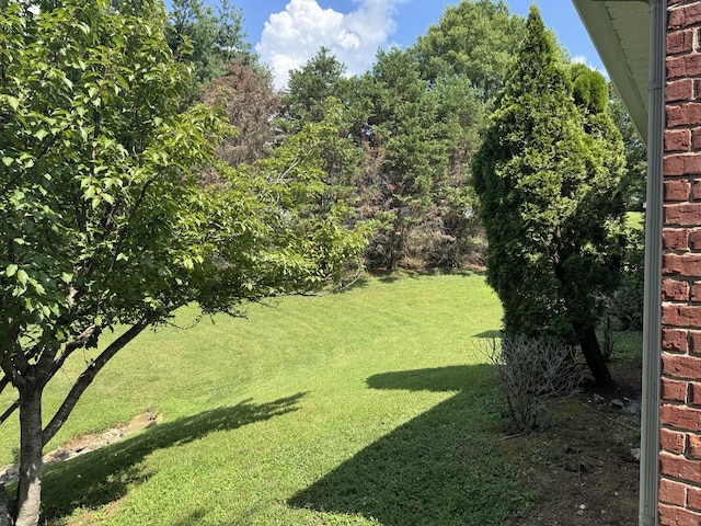 325 Bonita Pkwy, Hendersonville, TN 37075 - photo 25
