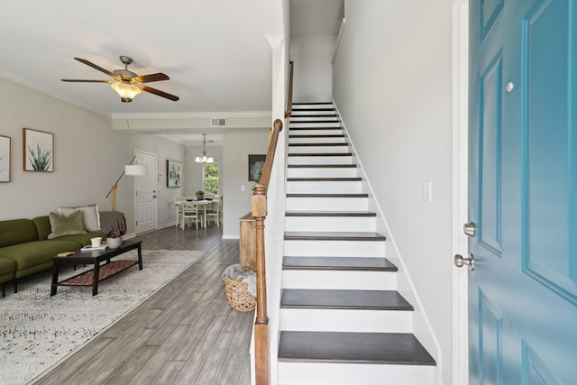 4228 Princeton Oaks Ln, Murfreesboro, TN 37129 - photo 12