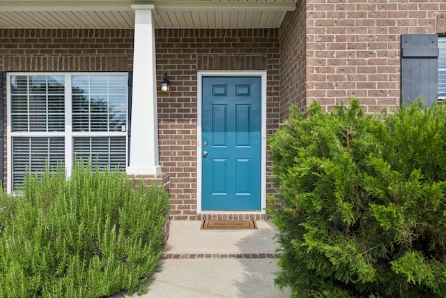 4228 Princeton Oaks Ln, Murfreesboro, TN 37129 - photo 11