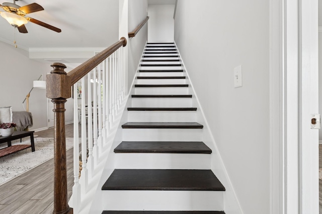 4228 Princeton Oaks Ln, Murfreesboro, TN 37129 - photo 43