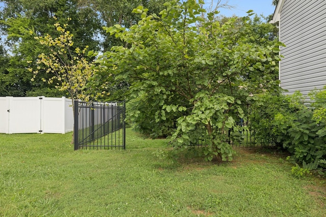 4228 Princeton Oaks Ln, Murfreesboro, TN 37129 - photo 66