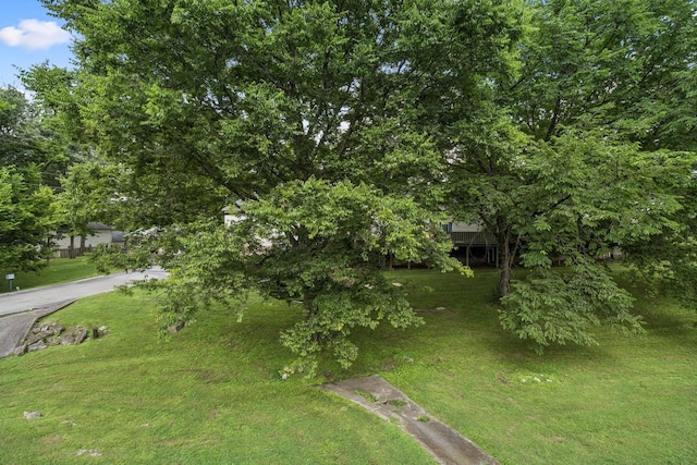 126 Five Oaks Dr, Nashville, TN 37217 - photo 25