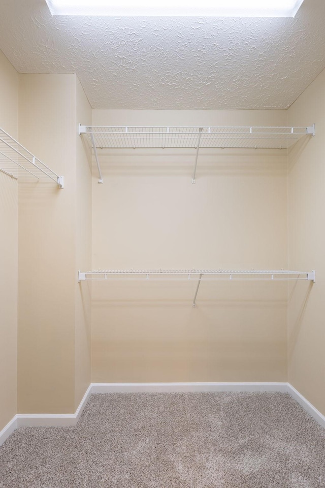 800 Browns Ln Unit F2, Gallatin, TN 37066 - photo 15