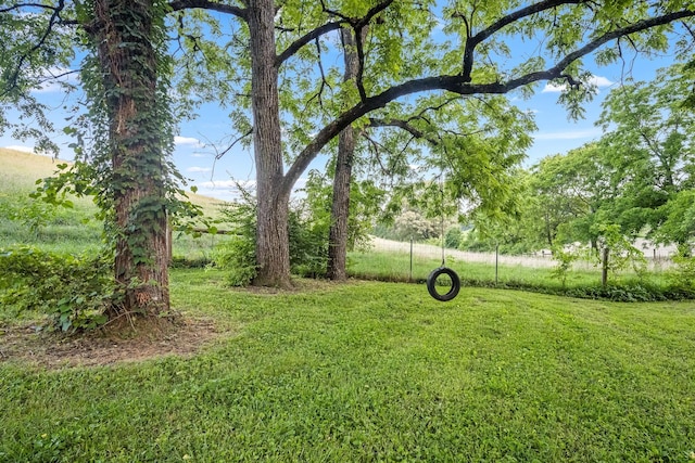 704 Williamson Hollow Rd, Lynchburg, TN 37352 - photo 46