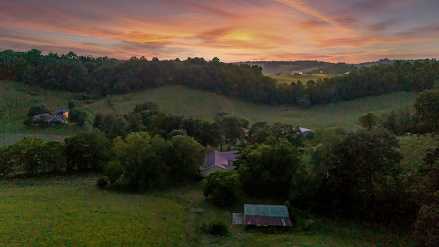 704 Williamson Hollow Rd, Lynchburg, TN 37352 - photo 43