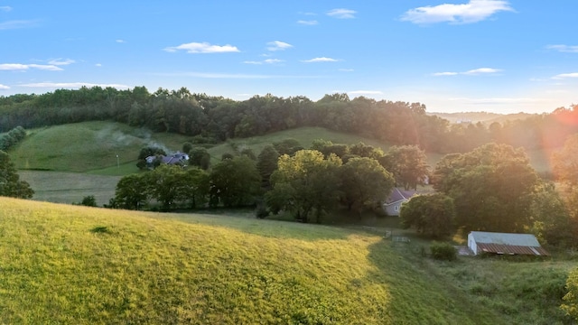 704 Williamson Hollow Rd, Lynchburg, TN 37352 - photo 54
