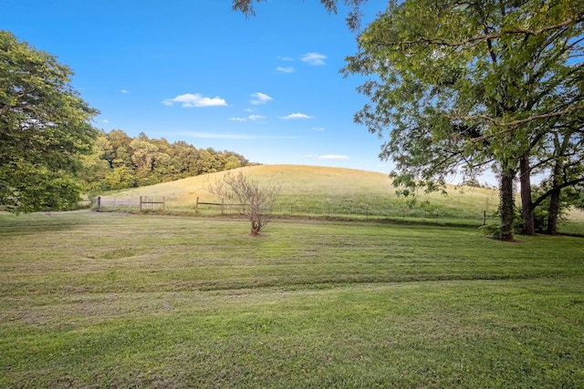 704 Williamson Hollow Rd, Lynchburg, TN 37352 - photo 57