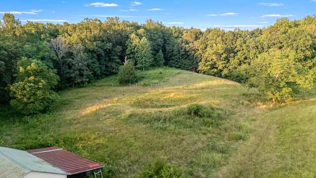 704 Williamson Hollow Rd, Lynchburg, TN 37352 - photo 51