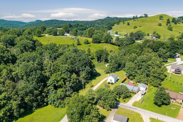 131 Sanders Dr, Brush Creek, TN 38547 - photo 41
