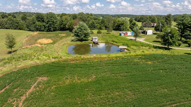 4643 Huntsville Quality Rd, Lewisburg, KY 42256 - photo 6