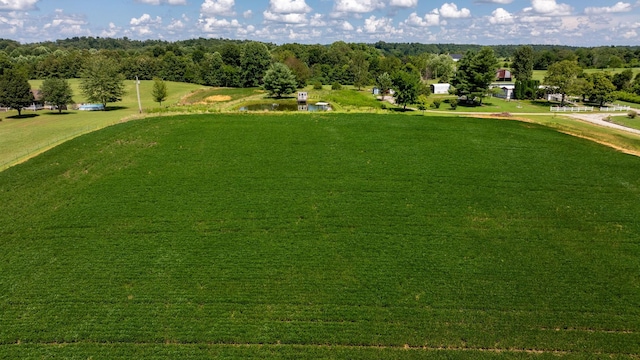 4643 Huntsville Quality Rd, Lewisburg, KY 42256 - photo 5
