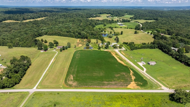 4643 Huntsville Quality Rd, Lewisburg, KY 42256 - photo 4
